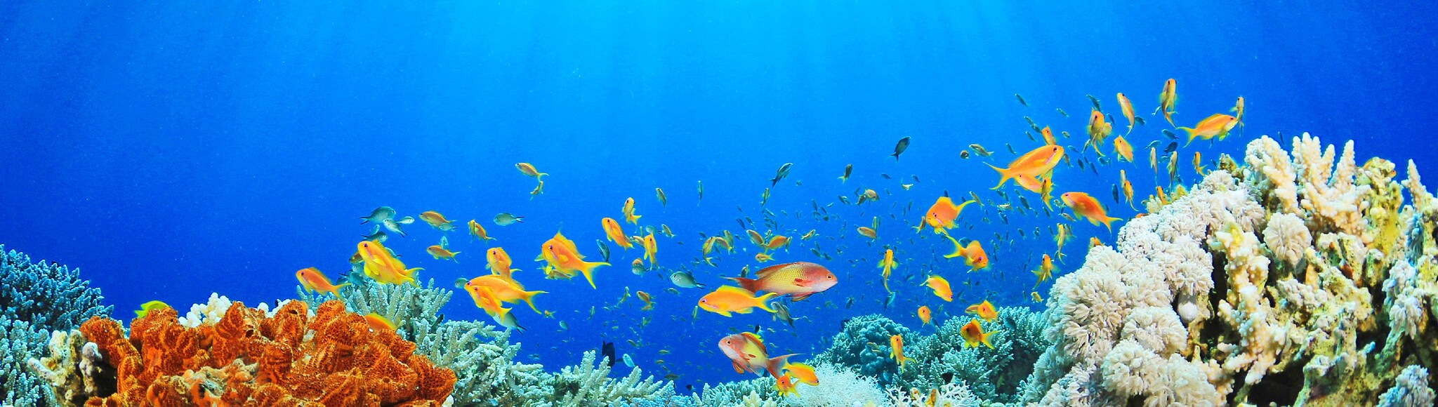 itineraryImageDesktop