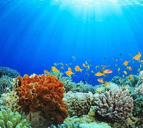 fyc_car_10_mobile Mobile Image