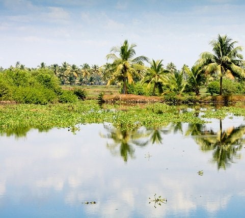 fyc_emw_18_mobile Mobile Image