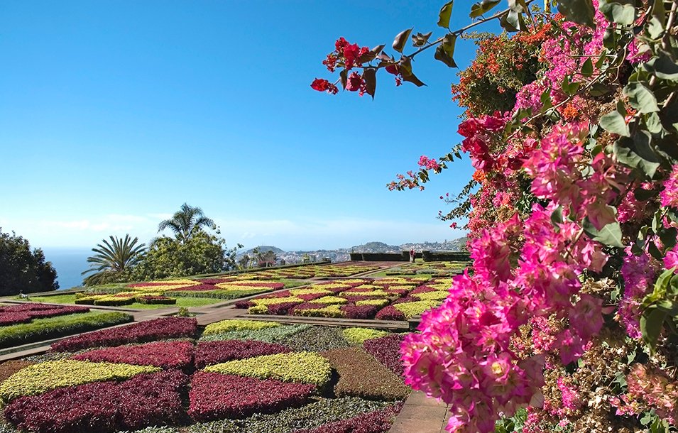 Cruceros Madeira, Funchal | MSC Cruceros