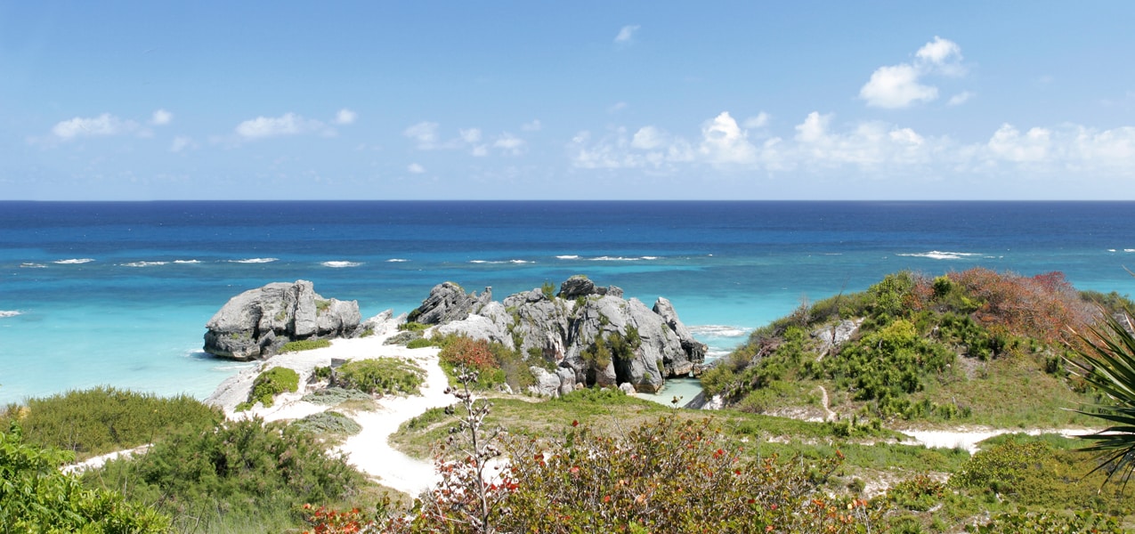 Rocky coastline with turquoise waters and lush greenery under a clear blue sky | MSC Cruises Rocky coastline with turquoise waters and lush greenery under a clear blue sky | MSC Cruises