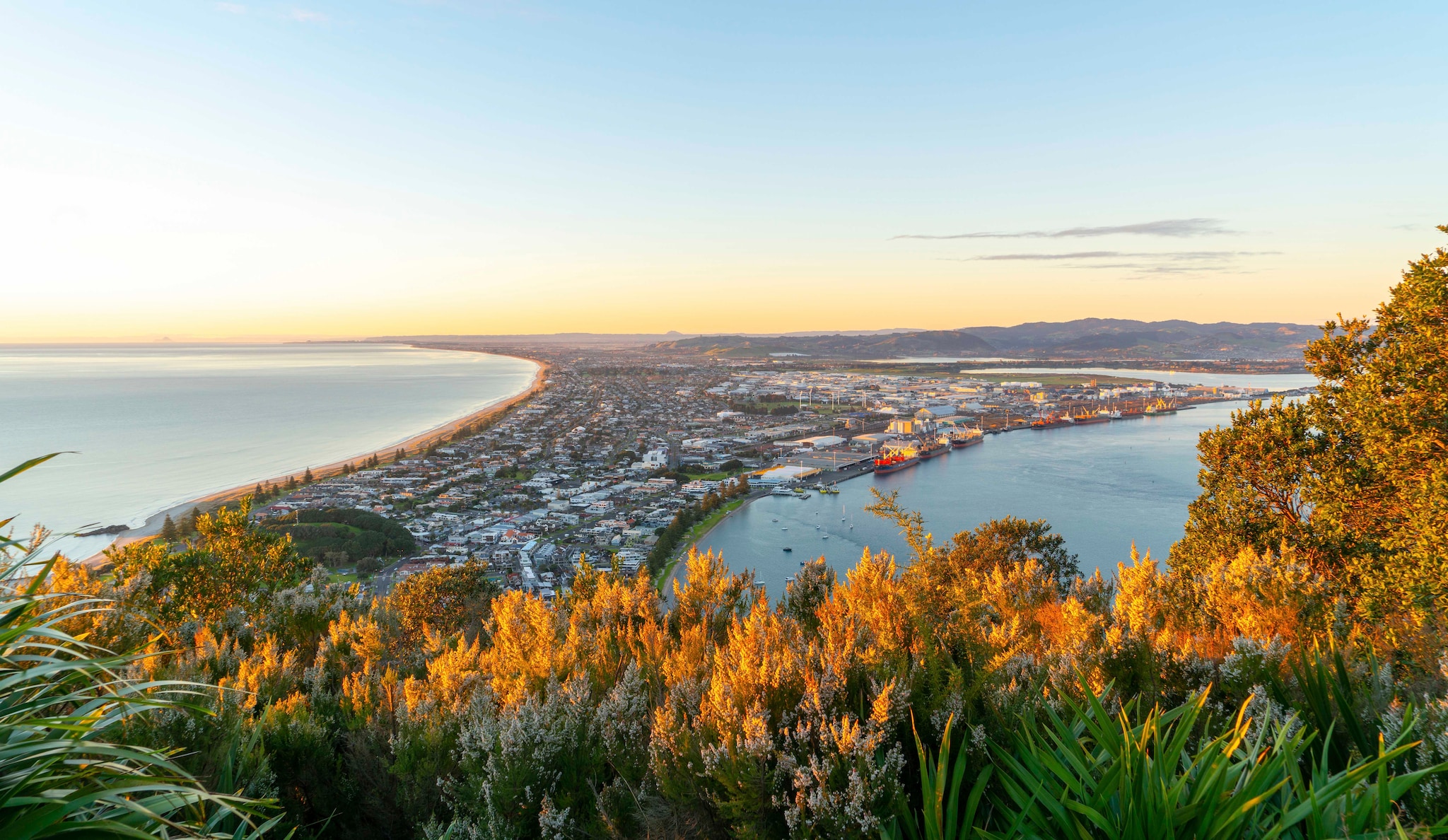 MSC World Cruise 2027, Tauranga - Landscape| MSC Cruises