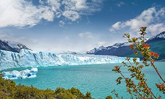 MSC World Cruise 2027| MSC Cruceros