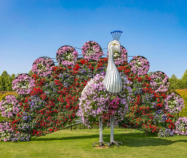 Tours por Dubai, Miracle Garden | MSC Cruceros