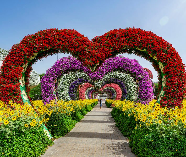 Tours por Dubai, Miracle Garden | MSC Cruceros