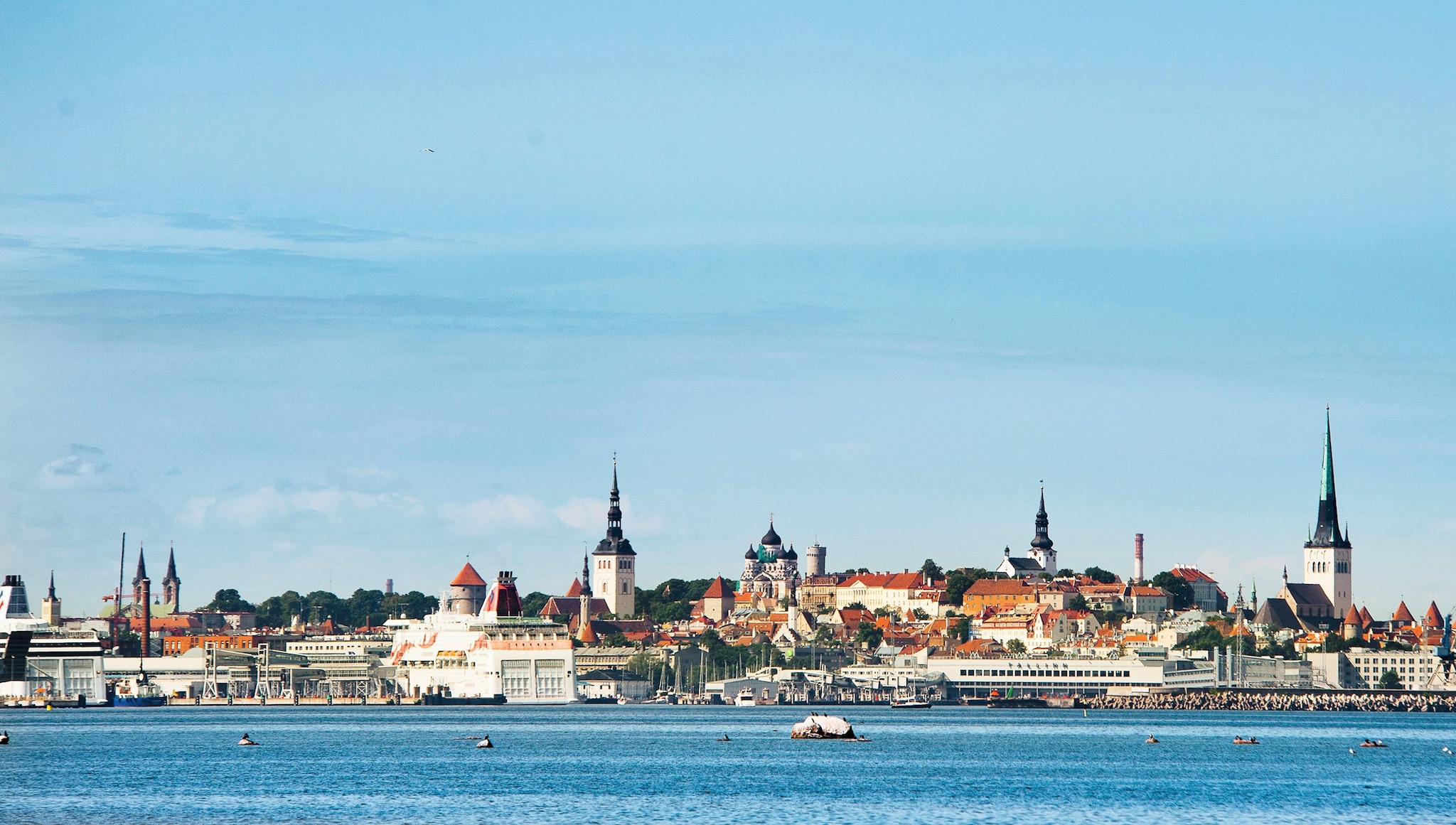 Tallin Cruise Tallin Cruise