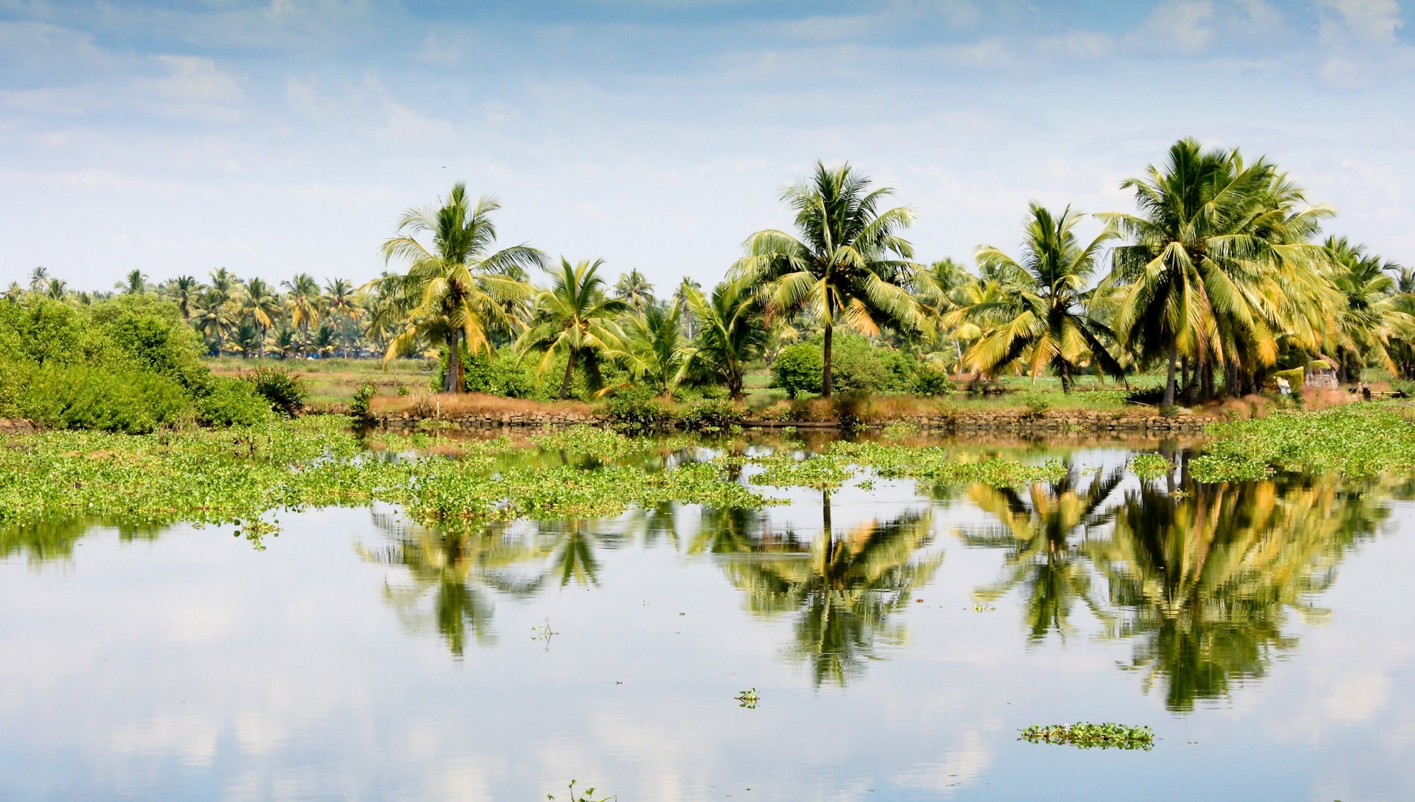 Cochin Cruise Cochin Cruise