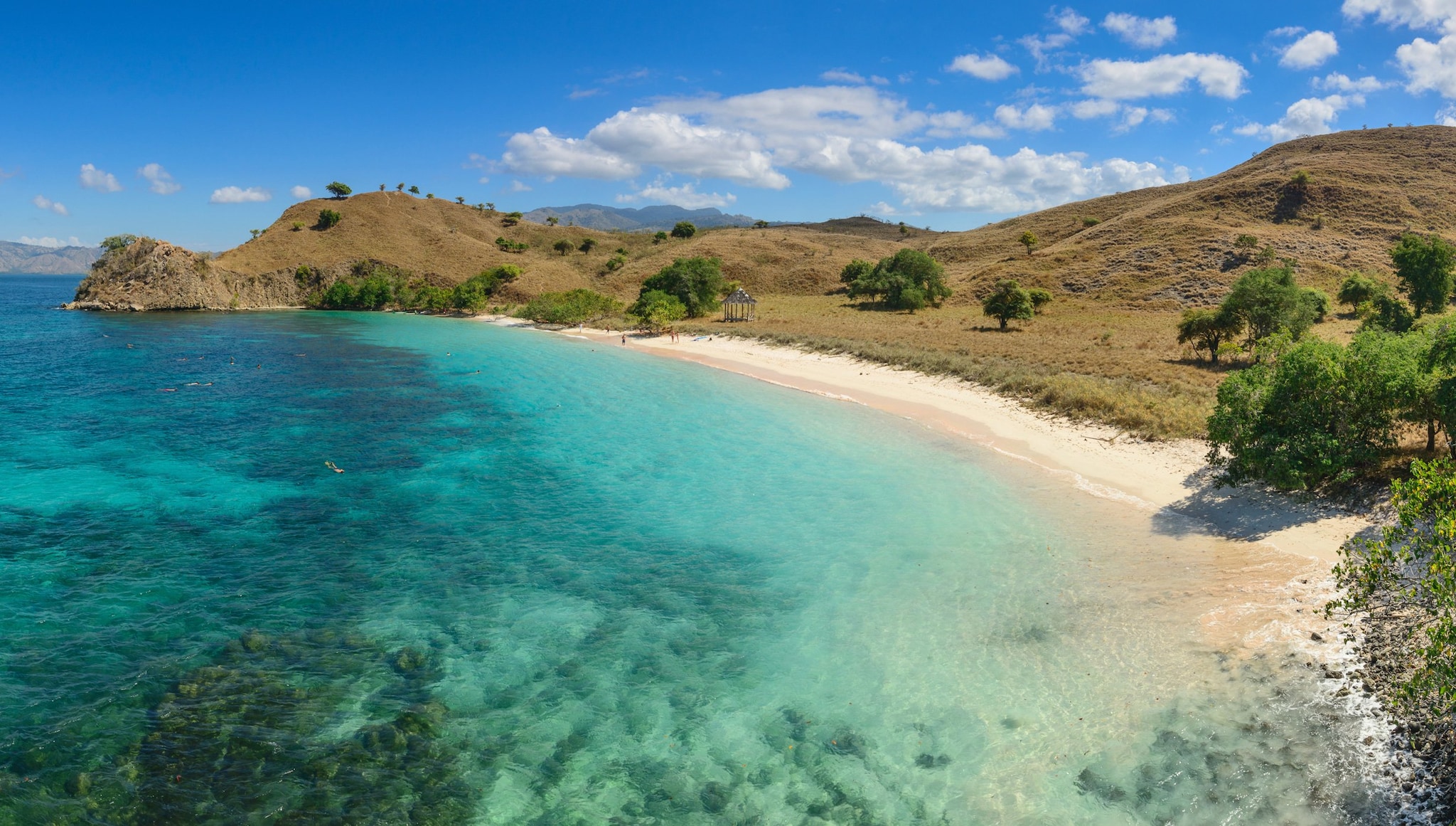 Komodo, Indonesia Komodo, Indonesia