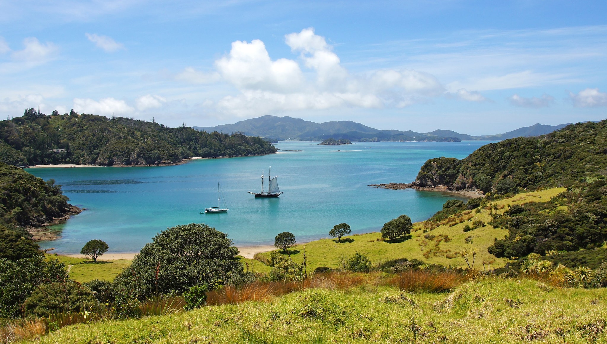 Bay of Islands Cruise Bay of Islands Cruise
