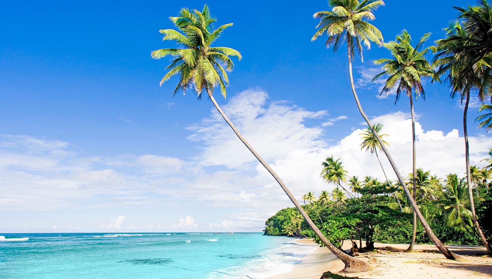 MSC Stay & Cruise | La Romana MSC Stay & Cruise | La Romana