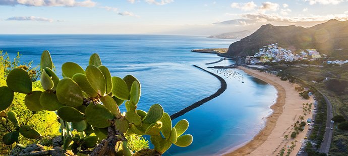 Crucero Islas Canarias y Madeira | MSC Cruises