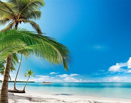 Cruises in La Romana, Dominican Republic | MSC Cruises